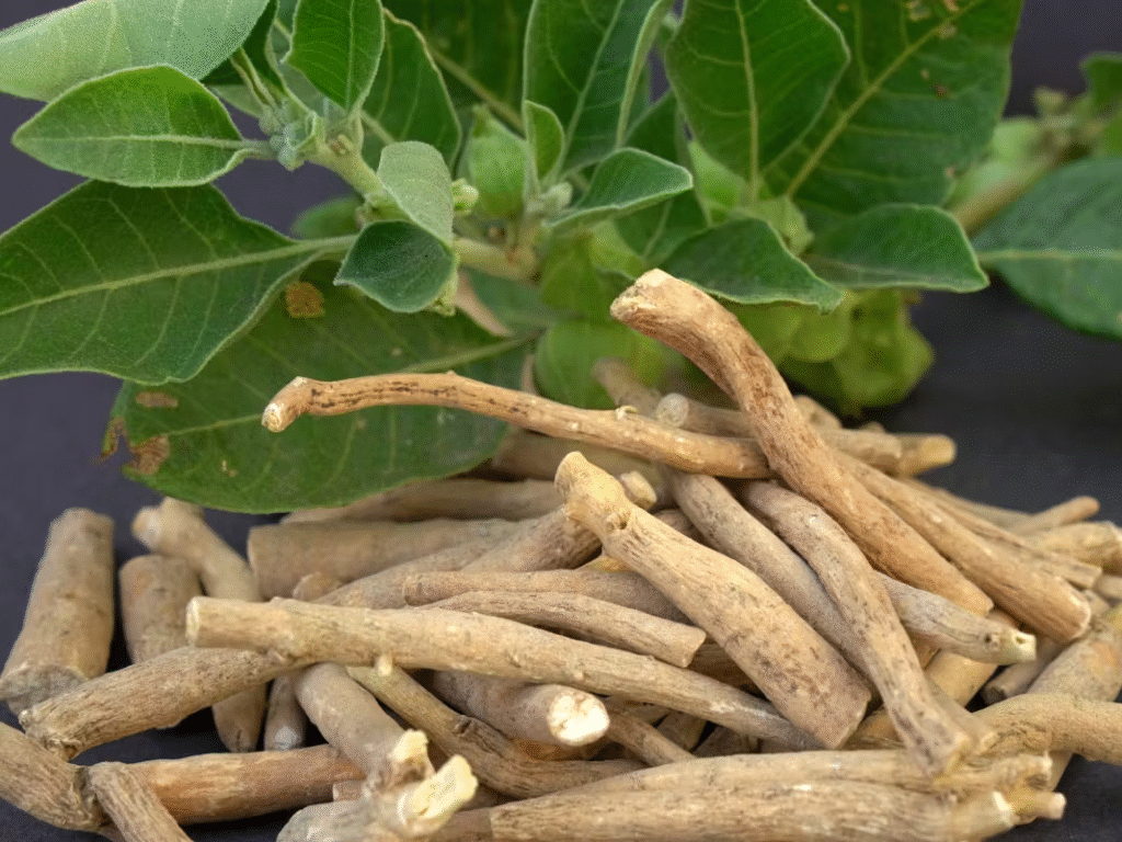 Ashwagandha for stress and anxiety