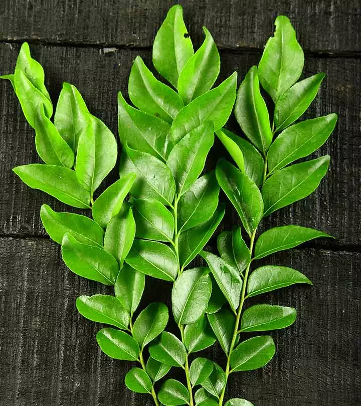 Tulsi & Curry leaves for health
