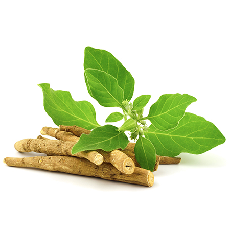 Turmeric Ginger & Ashwagandha herbs for immunity