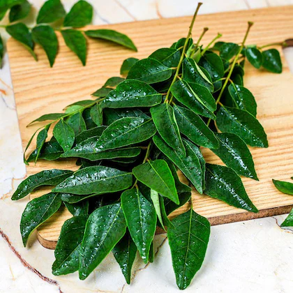 Curry leaves for hair