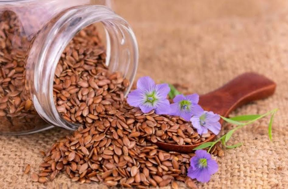 Flax Seed Benefits