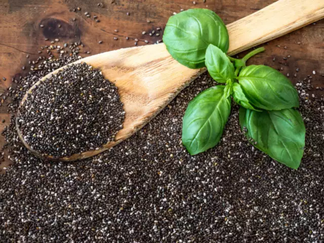 Sabja Seeds- Side Effects