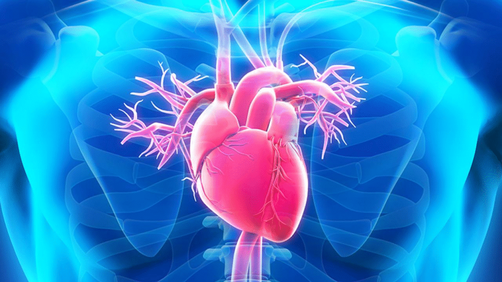 Healthy Heart