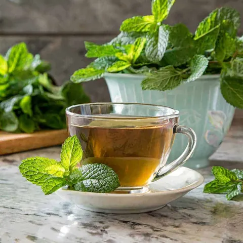 Herbal Tea for Digestion