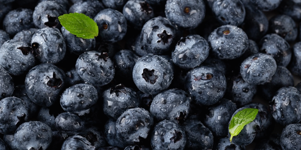 Blueberries for Diabetes