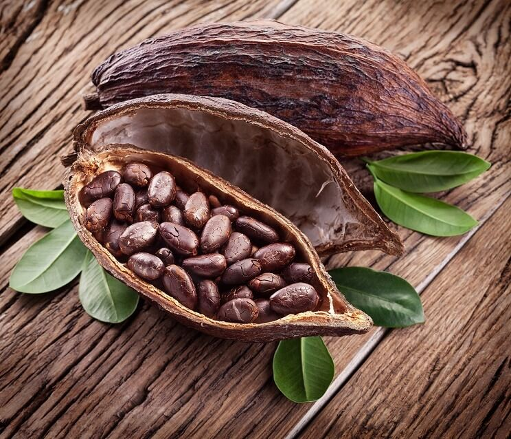 Benefits of Raw Cacao